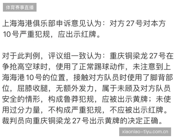 比赛因球迷事件中止，足协介入调查